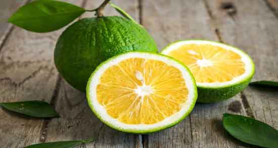 ترنج برای سوختگی و تایثر استفاده از ترنج برای درمان سریع سوختگی ترنج برای سوختگی ؛ تایثر استفاده از ترنج برای درمان سریع سوختگی