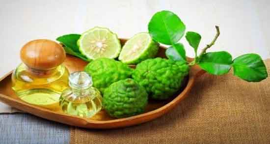 ترنج در طب سنتی و بررسی خواص درمانی ترنج از دیدگاه طب سنتی ترنج در طب سنتی ؛ بررسی خواص درمانی ترنج از دیدگاه طب سنتی