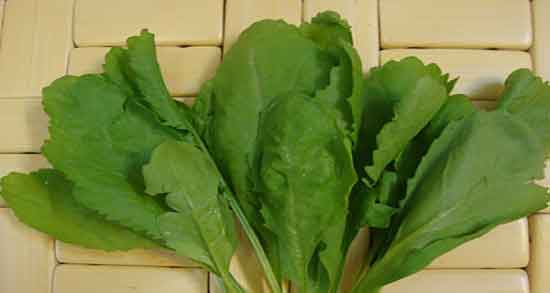 تره تیزک در طب سنتی و فواید مصرف تره تیزک از نظر طب سنتی تره تیزک در طب سنتی ؛ فواید مصرف تره تیزک از نظر طب سنتی