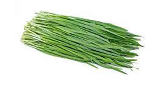 تره در طب سنتی ؛ ایا خوردن تره از نظر طب سنتی برای بدن مفیده تره در طب سنتی ؛ ایا خوردن تره از نظر طب سنتی برای بدن مفیده