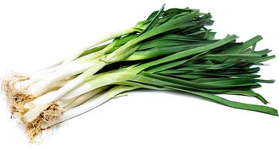 تره فرنگی برای نوزاد ؛ خواص سوپ تره فرنگی برای زردی نوزادان تره فرنگی برای نوزاد ؛ خواص سوپ تره فرنگی برای زردی نوزادان