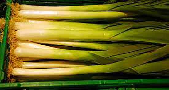 تره فرنگی و خواص آن ؛ فواید مصرف تره فرنگی برای زخم معده تره فرنگی و خواص آن ؛ فواید مصرف تره فرنگی برای زخم معده