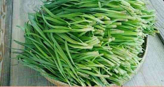 تره و بواسیر و درمان درد بواسیر مردان با ضماد تره کوهی و اب تره تره و بواسیر ؛ درمان درد بواسیر مردان با ضماد تره کوهی و اب تره