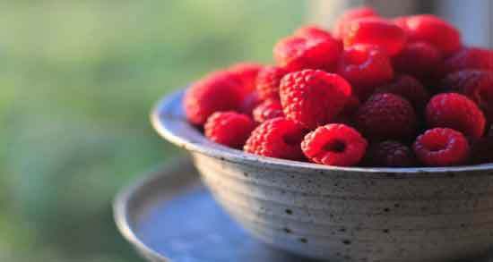 تمشک برای دیابت خوب است و کاهش سطح قند خون با مصرف تمشک تمشک برای دیابت خوب است ؛ کاهش سطح قند خون با مصرف تمشک