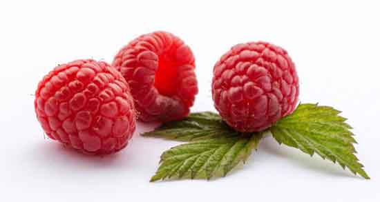 تمشک برای چی خوبه و برای درمان کدام بیماری خوردن تمشک مفید است تمشک برای چی خوبه ؛ برای درمان کدام بیماری خوردن تمشک مفید است