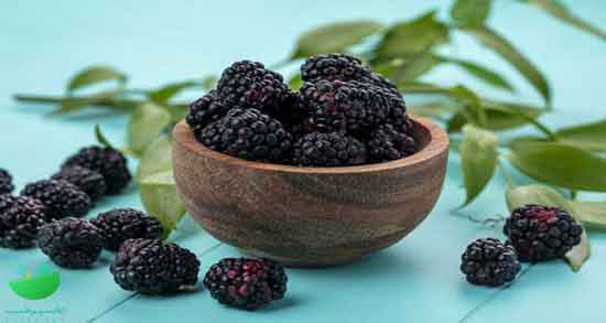 تمشک و شاتوت و تفاوت های بین تمشک و شاتوت تمشک و شاتوت ؛ تفاوت های بین تمشک و شاتوت