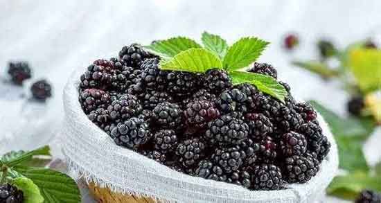 تمشک و یبوست و خواص دارویی خوردن تمشک برای درمان یبوست تمشک و یبوست ؛ خواص دارویی خوردن تمشک برای درمان یبوست