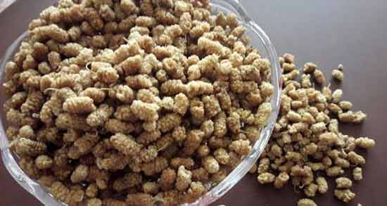 توت خشک برای قند خون ؛ پیشگیری از ابتلا به دیابت با مصرف توت خشک توت خشک برای قند خون ؛ پیشگیری از ابتلا به دیابت با مصرف توت خشک