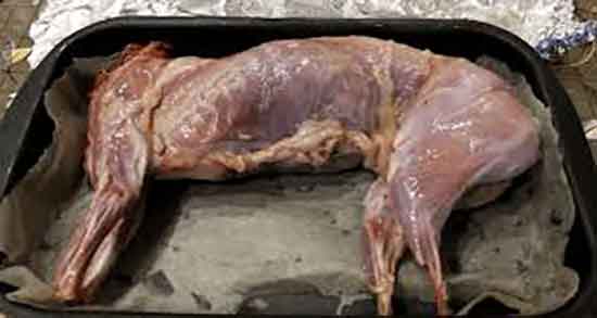 حکم گوشت خرگوش مکارم و حکم خوردن گوشت خرگوش از مکارم شیرازی حکم گوشت خرگوش مکارم ؛ حکم خوردن گوشت خرگوش از مکارم شیرازی