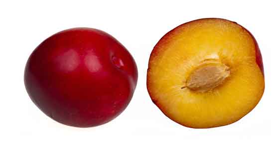 خاصیت آلو قرمز در بارداری ؛ جذب بیشتر آهن در بارداری با مصرف آلو قرمز خاصیت آلو قرمز در بارداری ؛ جذب بیشتر آهن در بارداری با مصرف آلو قرمز