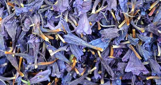 خاصیت و مضرات گل گاوزبان ؛ مصرف دمنوش گل گاوزبان چه فواید و مضراتی دارد خاصیت و مضرات گل گاوزبان ؛ مصرف دمنوش گل گاوزبان چه فواید و مضراتی دارد