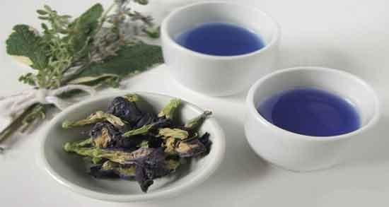 خاصیت گل گاوزبان برای اعصاب و تاثیر استفاده از گل گاوزبان برای آرامش اعصاب خاصیت گل گاوزبان برای اعصاب ؛ تاثیر استفاده از گل گاوزبان برای آرامش اعصاب