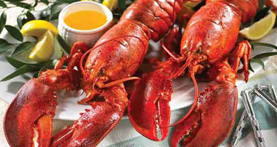 خرچنگ برای سرطان خوبه و درمان سرطان با مصرف گوشت خرچنگ خرچنگ برای سرطان خوبه ؛ درمان سرطان با مصرف گوشت خرچنگ