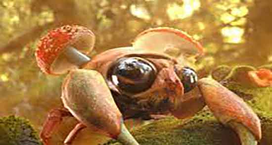 خرچنگ حلال است یا حرام سیستانی و حکم گوشت خرچنگ از سیستانی خرچنگ حلال است یا حرام سیستانی ؛ حکم گوشت خرچنگ از سیستانی