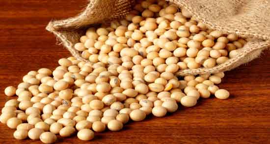 خواص آجیل سویا برای مردان ؛ فواید درمانی خوردن آجیل سویا برای سلامت آقایان خواص آجیل سویا برای مردان ؛ فواید درمانی خوردن آجیل سویا برای سلامت آقایان