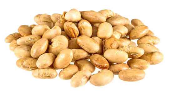 خواص آجیل سویا برای پوست ؛ جوان سازی پوست صورت با مصرف آجیل سویا خواص آجیل سویا برای پوست ؛ جوان سازی پوست صورت با مصرف آجیل سویا