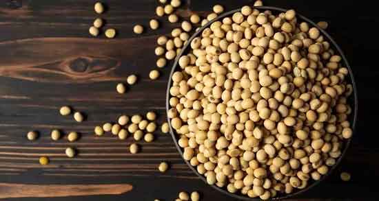 خواص آجیل سویا در طب سنتی ؛ آشنایی با خواص درمانی آجیل سویا از دیدگاه طب سنتی خواص آجیل سویا در طب سنتی ؛ آشنایی با خواص درمانی آجیل سویا از دیدگاه طب سنتی