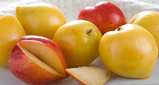 خواص آلو زرد برای کودکان و درمانی ضعف و بی حالی کودک با مصرف آلو زرد خواص آلو زرد برای کودکان ؛ درمانی ضعف و بی حالی کودک با مصرف آلو زرد