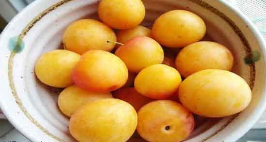 خواص آلو زرد در بارداری و حفظ سلامت جنین و زن باردار با مصرف آلو زرد خواص آلو زرد در بارداری ؛ حفظ سلامت جنین و زن باردار با مصرف آلو زرد