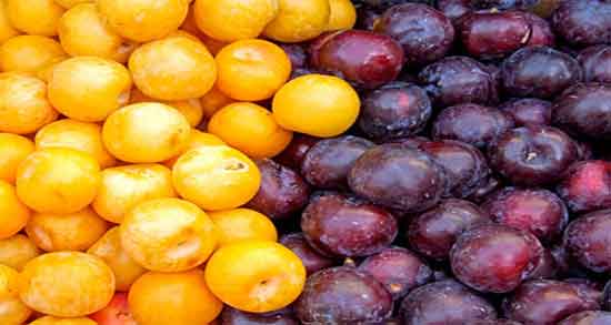 خواص آلو زرد و قرمز و آشنایی با خواص درمانی مصرف آلو زرد و قرمز برای سلامتی خواص آلو زرد و قرمز ؛ آشنایی با خواص درمانی مصرف آلو زرد و قرمز برای سلامتی