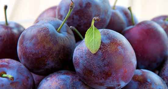 خواص آلو سیاه برای لاغری ؛ تاثیر خوردن آلو سیاه برای کاهش وزن و لاغری خواص آلو سیاه برای لاغری ؛ تاثیر خوردن آلو سیاه برای کاهش وزن و لاغری