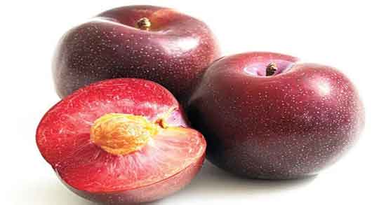 خواص آلو قرمز ؛ در بارداری برای پوست ، لاغری و کبد خواص آلو قرمز ؛ در بارداری برای پوست ، لاغری و کبد