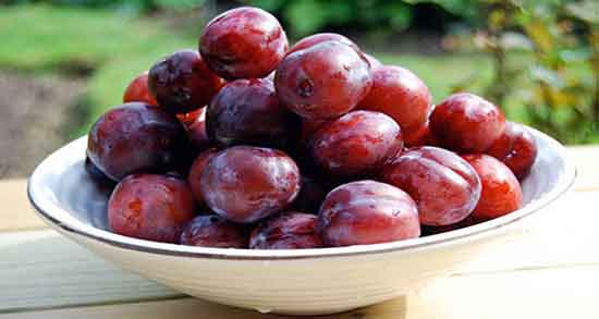 خواص آلو قرمز تازه ؛ وجود مواد مغذی فراوان در آلو قرمز تازه مفید برای بدن خواص آلو قرمز تازه ؛ وجود مواد مغذی فراوان در آلو قرمز تازه مفید برای بدن