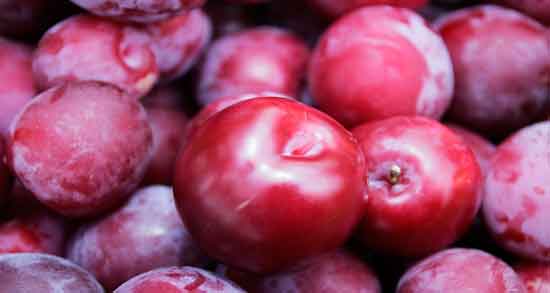 خواص آلو قرمز چیست ؛ همه چیز درباره خواص و فواید خوردن آلو قرمز برای سلامتی خواص آلو قرمز چیست ؛ همه چیز درباره خواص و فواید خوردن آلو قرمز برای سلامتی