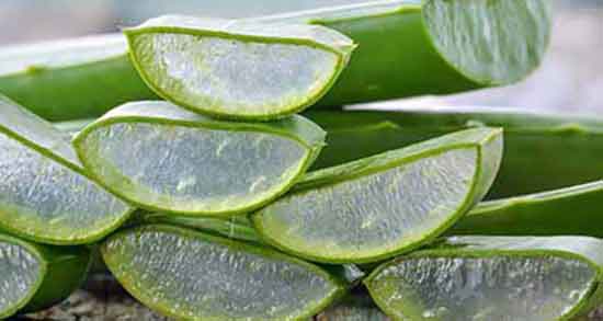 خواص آلوورا برای مردان ؛ حفظ سلامت آقایان با مصرف آلوورا خواص آلوورا برای مردان ؛ حفظ سلامت آقایان با مصرف آلوورا
