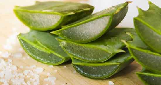 خواص آلوورا برای مو و درمان ریزش مو با مصرف آلوورا خواص آلوورا برای مو ؛ درمان ریزش مو با مصرف آلوورا