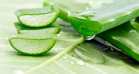 خواص آلوورا برای پوست تناسلی و تاثیر استفاده از آلوورا برای روشن کردن پوست تناسلی خواص آلوورا برای پوست تناسلی ؛ تاثیر استفاده از آلوورا برای روشن کردن پوست تناسلی