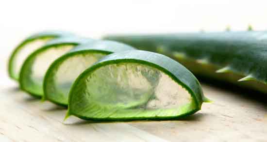 خواص آلوورا برای پوست و زیبایی پوست صورت با استفاده از آلوورا خواص آلوورا برای پوست ؛ زیبایی پوست صورت با استفاده از آلوورا