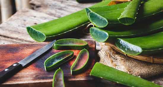 خواص آلوورا برای چاقی صورت و تپل شدن صورت با استفاده از آلوورا خواص آلوورا برای چاقی صورت ؛ تپل شدن صورت با استفاده از آلوورا