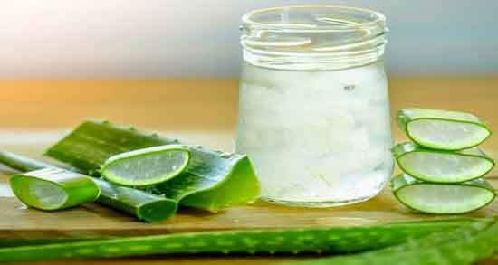 خواص آلوورا در طب اسلامی و آشنایی با خاصیت درمانی مصرف آلوورا خواص آلوورا در طب اسلامی ؛ آشنایی با خاصیت درمانی مصرف آلوورا