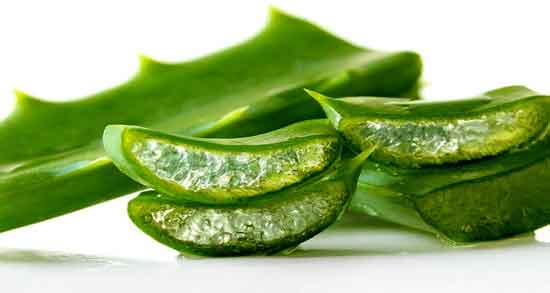 خواص آلوورا و لاغری ؛ بهترین روش مصرف آلوورا برای لاغری و کاهش وزن خواص آلوورا و لاغری ؛ بهترین روش مصرف آلوورا برای لاغری و کاهش وزن