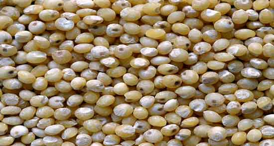 خواص ارزن برای لاغری و تاثیر مصرف ارزن برای کاهش وزن و لاغری خواص ارزن برای لاغری ؛ تاثیر مصرف ارزن برای کاهش وزن و لاغری