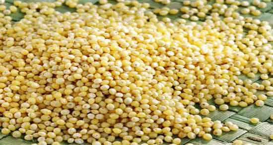 خواص ارزن برای مرغ و ارزش تغذیه ای ارزن برای غذای مرغ خواص ارزن برای مرغ ؛ ارزش تغذیه ای ارزن برای غذای مرغ