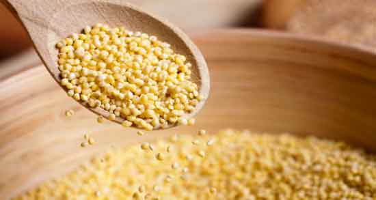 خواص ارزن برای پرنده و ارزن به عنوان غذایی کامل برای پرندگان خواص ارزن برای پرنده ؛ ارزن به عنوان غذایی کامل برای پرندگان