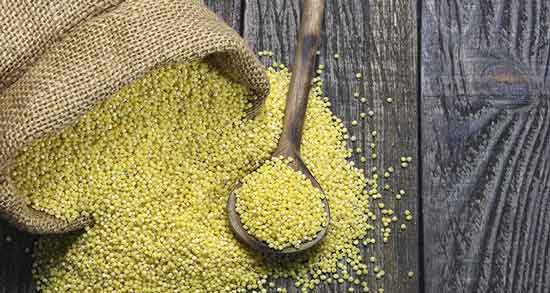 خواص ارزن برای پرندگان و ارزش غذایی و خواص ارزن برای غذای پرندگان خواص ارزن برای پرندگان ؛ ارزش غذایی و خواص ارزن برای غذای پرندگان