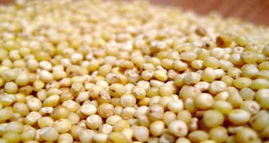 خواص ارزن برای پوست و خاصیت کلاژن سازی ارزن مفید برای پوست صورت خواص ارزن برای پوست ؛ خاصیت کلاژن سازی ارزن مفید برای پوست صورت