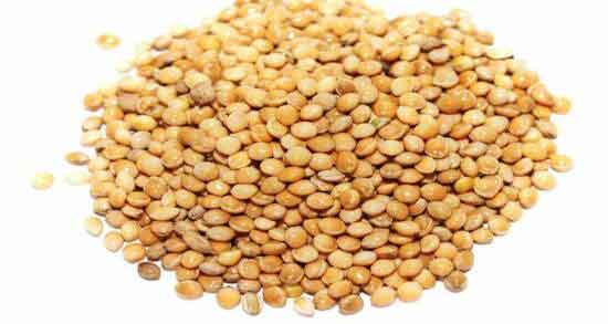 خواص ارزن برای کبوتر و بررسی ارزش غذایی و خواص ارزن برای تغذیه کبوتر خواص ارزن برای کبوتر ؛ بررسی ارزش غذایی و خواص ارزن برای تغذیه کبوتر