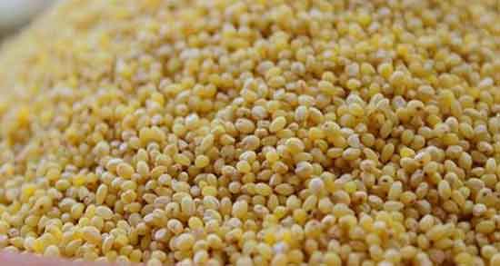 خواص ارزن برای کودکان و درمان کمبود آهن بدن کودک با مصرف ارزن خواص ارزن برای کودکان ؛ درمان کمبود آهن بدن کودک با مصرف ارزن