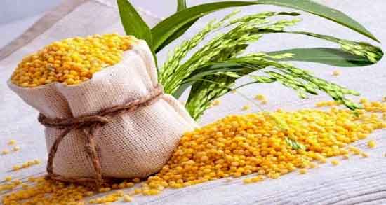 خواص ارزن و سیاه دانه و کاهش خطر ابتلا به سرطان با مصرف ارزن و سیاه دانه خواص ارزن و سیاه دانه ؛ کاهش خطر ابتلا به سرطان با مصرف ارزن و سیاه دانه