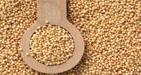 خواص ارزن چیست و خاصیت ضد سرطانی مصرف ارزن خواص ارزن چیست ؛ خاصیت ضد سرطانی مصرف ارزن