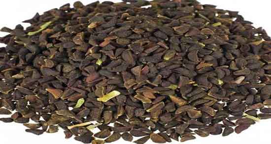 خواص اسپند برای اسهال و درمان اورژانسی اسهال با گیاه اسپند خواص اسپند برای اسهال ؛ درمان اورژانسی اسهال با گیاه اسپند