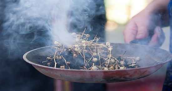 خواص اسپند در درمان اعتیاد و چگونه با اسپند می توان اعتیاد را ترک کرد خواص اسپند در درمان اعتیاد ؛ چگونه با اسپند می توان اعتیاد را ترک کرد