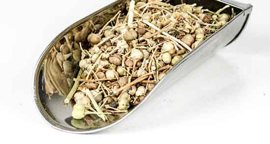 خواص اسپند در طب سنتی ؛ آشنایی با خاصیت درمانی اسپند از دیدگاه طب سنتی خواص اسپند در طب سنتی ؛ آشنایی با خاصیت درمانی اسپند از دیدگاه طب سنتی