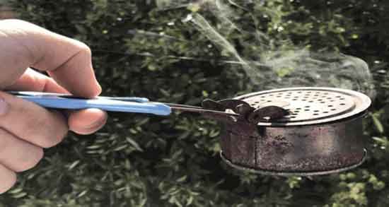 خواص اسپند دود کردن و خاصیت میکروب کشی اسپند دود کردن در محیط خواص اسپند دود کردن ؛ خاصیت میکروب کشی اسپند دود کردن در محیط