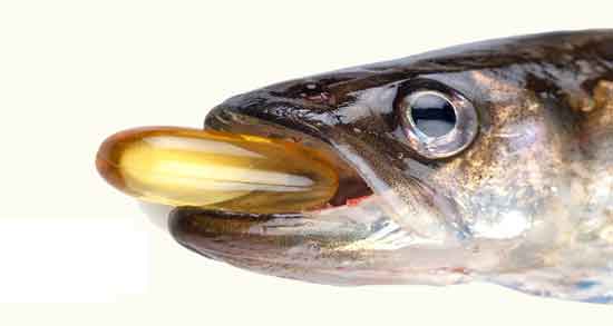 خواص امگا ۳ برای کبد چرب و تاثیر خوردن امگا ۳ برای کنترل بیماری کبد چرب خواص امگا ۳ برای کبد چرب ؛ تاثیر خوردن امگا ۳ برای کنترل بیماری کبد چرب