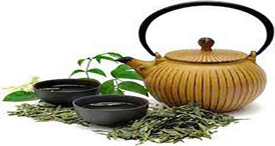 خواص اکالیپتوس برای ریه و بخور اکالیپتوس برای عفونت ریه خوب است خواص اکالیپتوس برای ریه ؛ بخور اکالیپتوس برای عفونت ریه خوب است